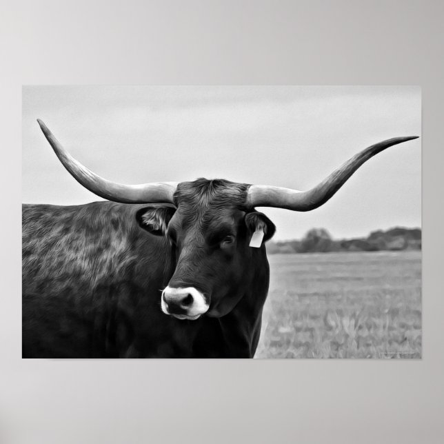 Longhorn Cow Photographic Art Print (Front)