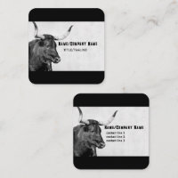 longhorn cow photography black and white custom