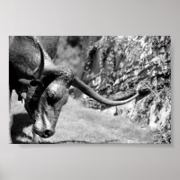 Longhorn Eating