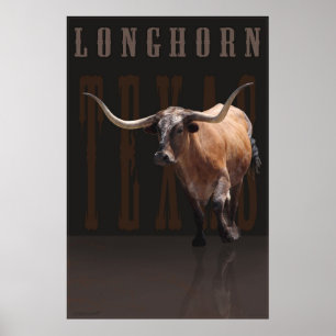 Longhorn Power Poster w/Text -40x60 -or smaller