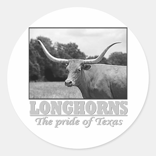 longhorn_pride classic round sticker (Front)