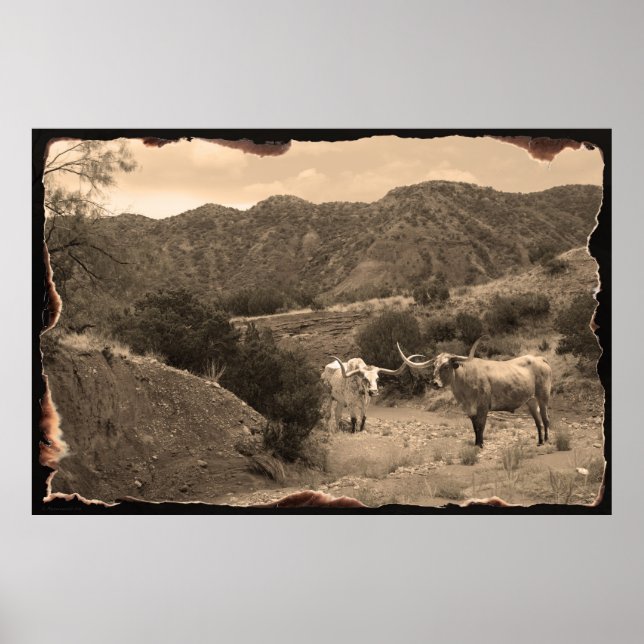 Longhorn Ravine Sepia Poster -60x40 (Front)
