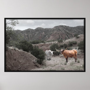 Longhorn Ravine Spot Colour Poster -60x40