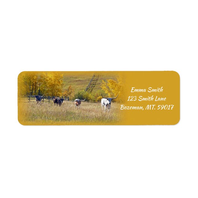 Longhorn Steers return address (Front)