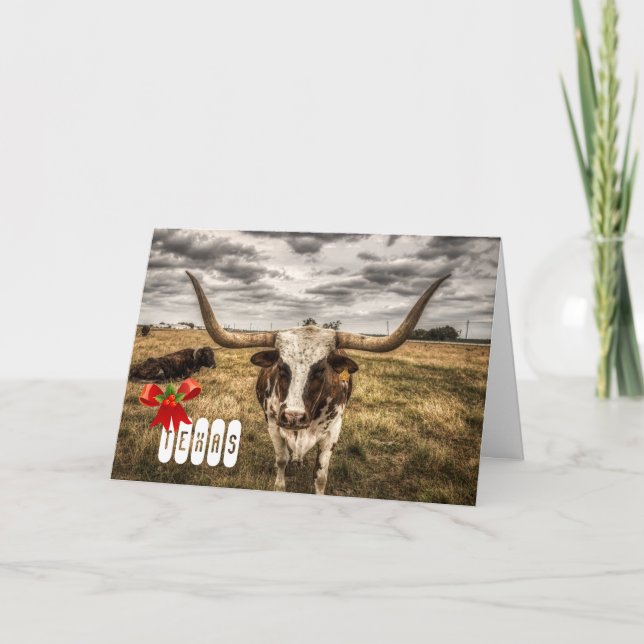 Longhorn Texas Christmas Card Greeting (Front)