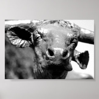 Longhorn Up Close Poster