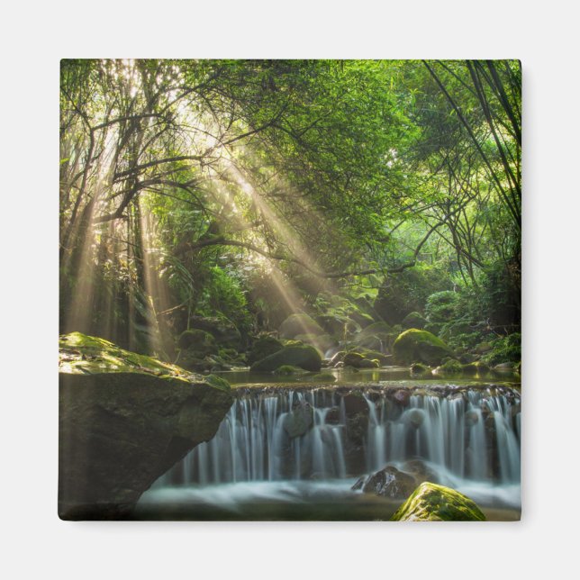 Longquan Glamourous Creek Magnet (Front)