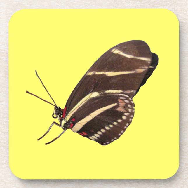 Longwing Zebra Butterfly Cork Coaster (Front)