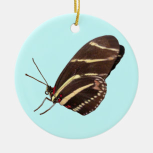 Longwing Zebra Butterfly of Florida Ornaments