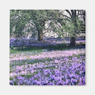 Longwood Gardens in Spring Magnet