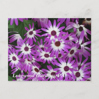 Longwood Gardens, PA Postcard