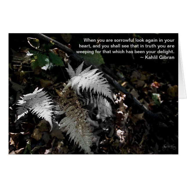 Look Again in Your Heart (Front Horizontal)