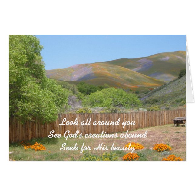 Look All Around You (Front Horizontal)