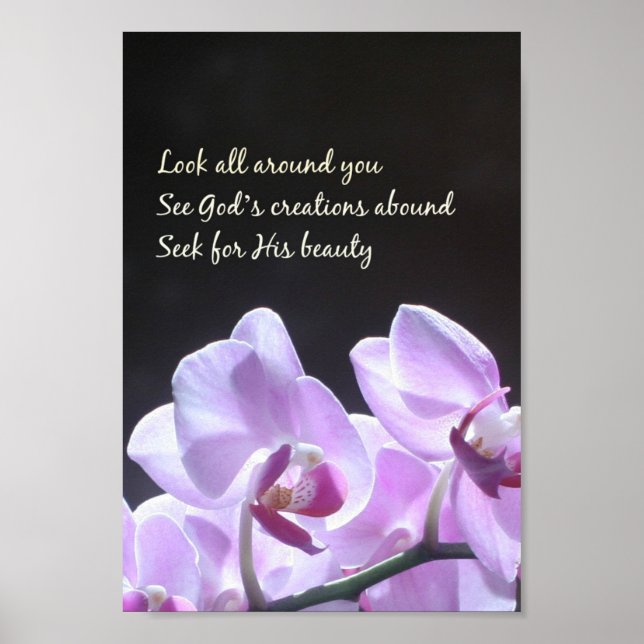 Look All Around You Haiku Orchid Photo Poster (Front)