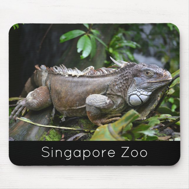 Look at Me Lizard Singapore Zoo Mouse Mat (Front)