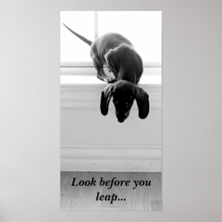 Look before you leap... poster