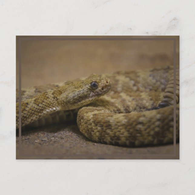 look down postcard (Front)