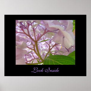 Look Inside art print Healing Touch Hydrangea