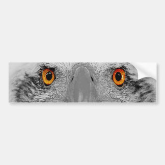 Look into my eyes bumper sticker