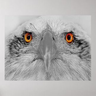 Look into my eyes poster