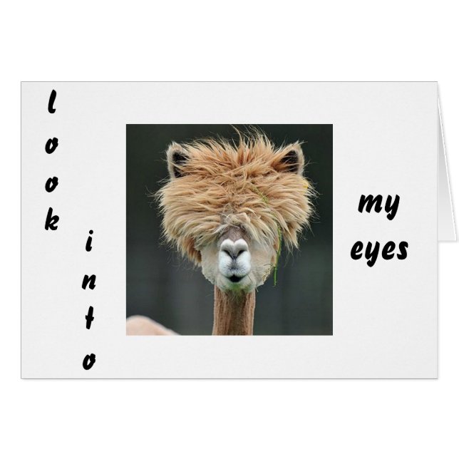 LOOK INTO MY EYES SO I CAN "KISS YOU" VALENTINE (Front Horizontal)
