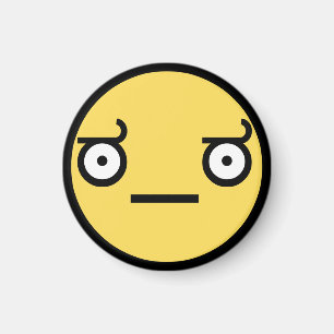 Look of Disapproval Magnet