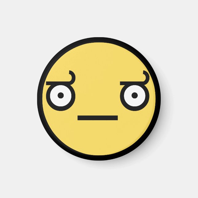 Look of Disapproval Magnet (Front)