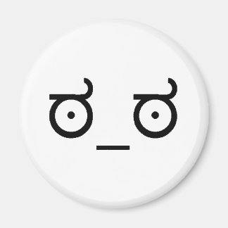 Look Of Disapproval Magnet