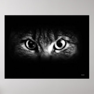 look poster