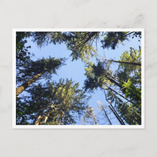 Look up postcard