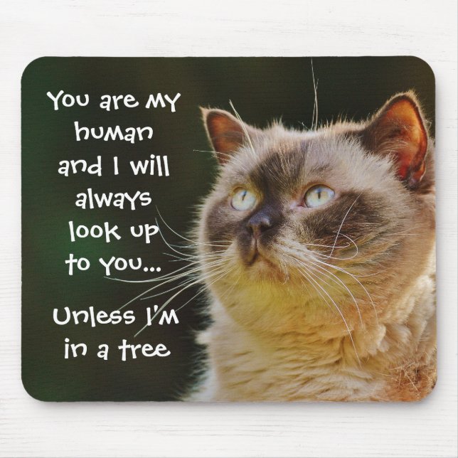 Look Up To You Funny Cat Slogan Mouse Mat (Front)