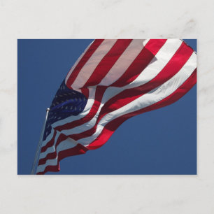 Look Up With Pride! Postcard