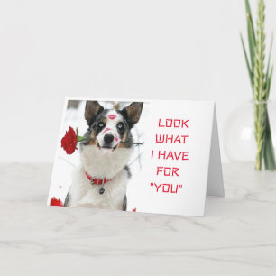 LOOK WHAT "I HAVE FOR YOU" SPECIAL DAY OR NIGHT CARD