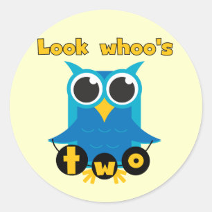 Look Whoo's 2 Birthday Tshirts and Gifts Classic Round Sticker