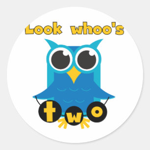 Look Whoo's 2 Birthday Tshirts and Gifts Classic Round Sticker