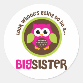 Look Whoos Going to be a Big Sister Owl Classic Round Sticker