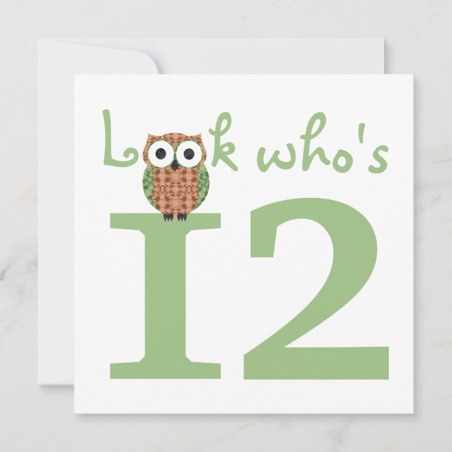 Look Who's 12 Owl Birthday Party Invitation (Front)