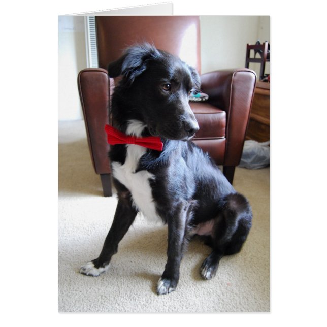 Lookin' More Fab (Front)