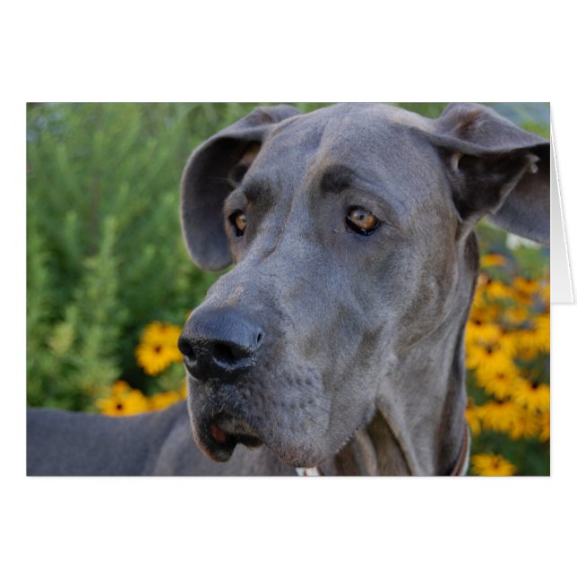 Lookin' Pretty Card (Front Horizontal)