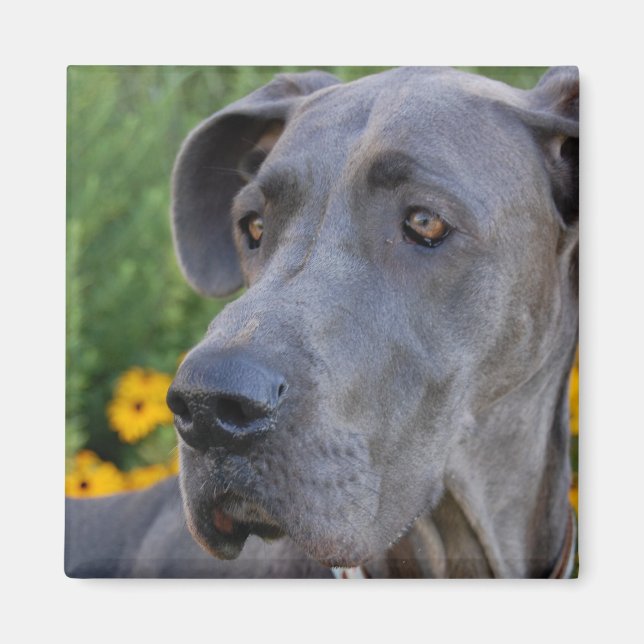 Lookin' Pretty Magnet (Front)