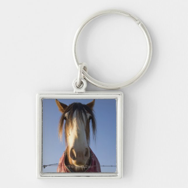 Looking at the camera key ring (Front)