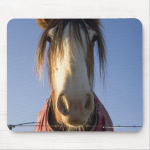 Looking at the camera mouse mat
