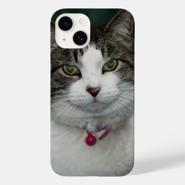 Looking at You Looking at Me iPhone Case (Back)