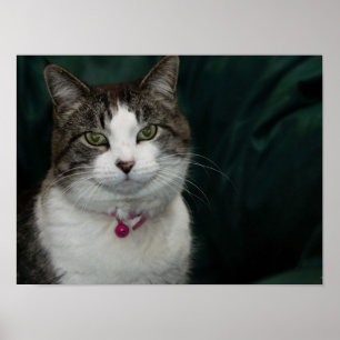 Looking at You Looking at Me Poster