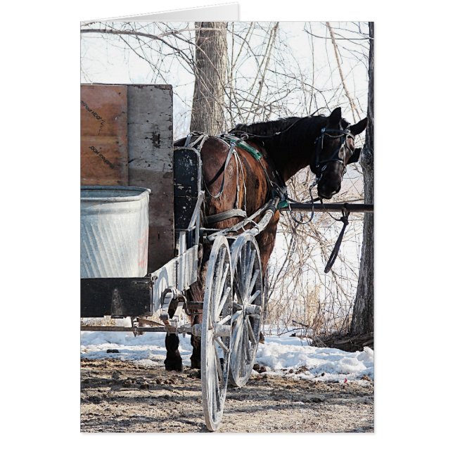 Looking Back (Front)