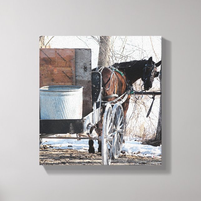 Looking Back Canvas Print (Front)