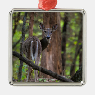 Looking Back Painterly Metal Tree Decoration