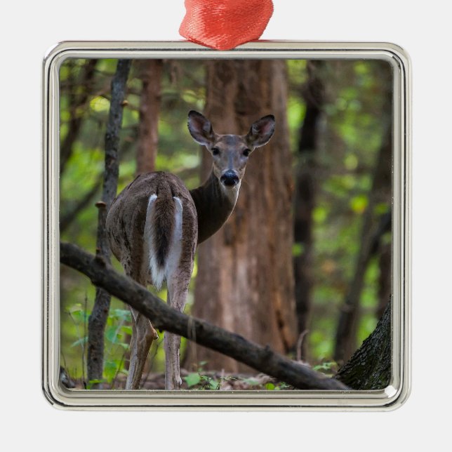 Looking Back Painterly Metal Tree Decoration (Front)