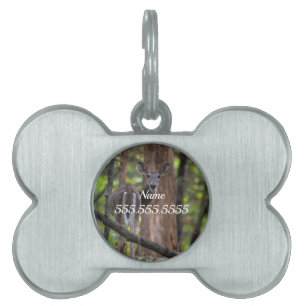 Looking Back Painterly Pet ID Tag