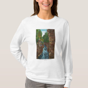 Looking Down Ausable Chasm from Hyde's Cave T-Shirt